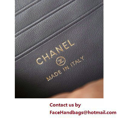 Chanel Lambskin, Resin  &  Gold-Tone Metal Clutch with Chain Bag AP3820 Dark Gray 2025